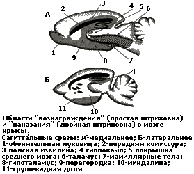 Методы изучения и диагностики эмоций - student2.ru