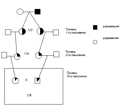 Методы разведения животных - student2.ru