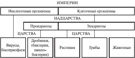 многообразие органического мира - student2.ru