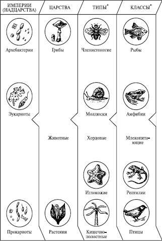 многообразие органического мира - student2.ru