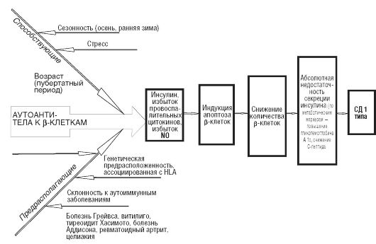 Моделирование сахарного диабета - student2.ru