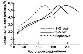 На функцию желудочков сердца - student2.ru