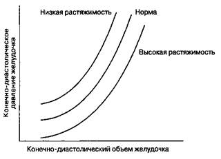 На функцию желудочков сердца - student2.ru