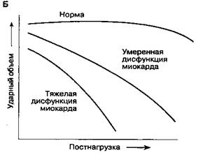 На функцию желудочков сердца - student2.ru