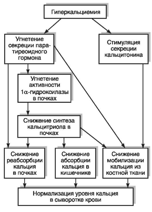 Нарушения обмена кальция и фосфора - student2.ru