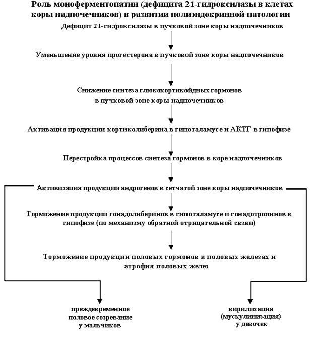 Нарушения трансгипофизарного пути регуляции эндокринных желез - student2.ru