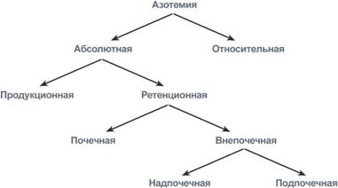 Не весь азот крови находится в белках - student2.ru