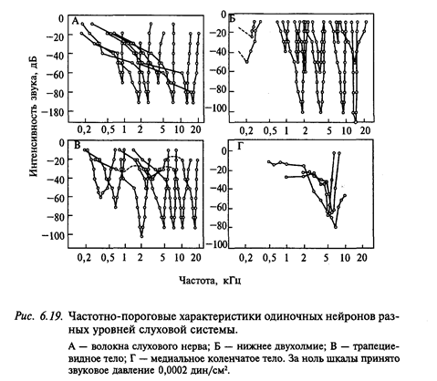 нейрофизиология слуховой системы - student2.ru