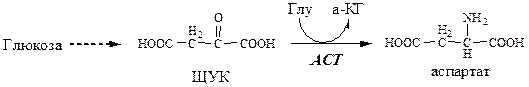 Образование и использование в организме ГАМК и ГОМК. Антиоксидантные, антигипоксические и адаптогенные свойства Глу, Асп, их клиническое применение - student2.ru