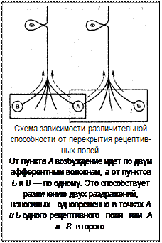 общие механизмы возбуждения рецепторов - student2.ru