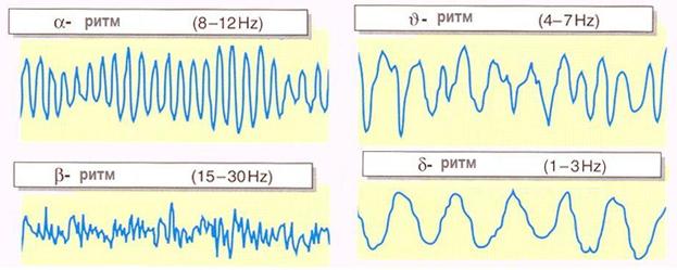 оценка функционального состояния нервной системы человека по параметрам ээг - student2.ru