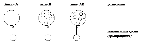 Определение группы крови системы АВО - student2.ru