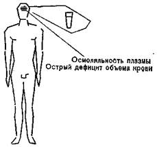 Осмотическое регулирование - student2.ru