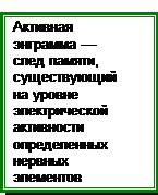 Основные положения теории активной памяти - student2.ru