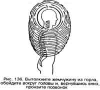 Оздоровление начинается с Шести Исцеляющих Звуков 11 страница - student2.ru