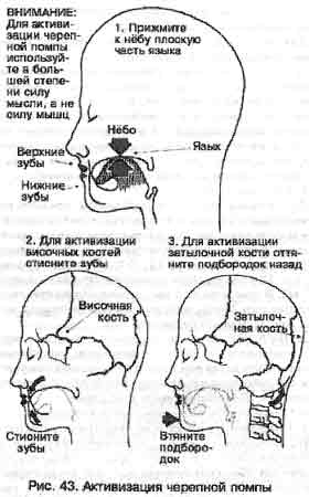 Оздоровление начинается с Шести Исцеляющих Звуков 4 страница - student2.ru