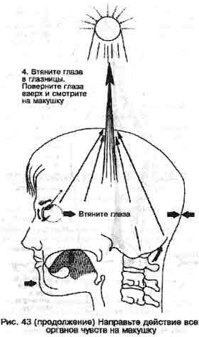 Оздоровление начинается с Шести Исцеляющих Звуков 4 страница - student2.ru