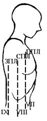 Пальпация грудной клетки предполагает определение - student2.ru