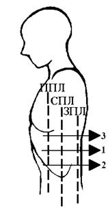 Пальпация грудной клетки предполагает определение - student2.ru