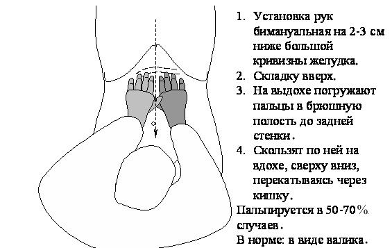 Пальпация поперечно-ободочной кишки - student2.ru