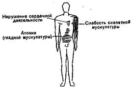 Патофизиологические данные - student2.ru