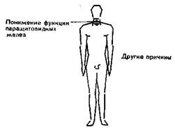 Патофизиологические данные. Ацидоз усиливает тенденцию к гиперкалиемии - student2.ru