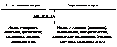 Патофизиология и ее место среди медико–биологических и клинических наук - student2.ru