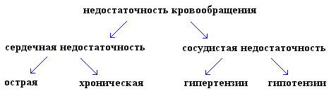 патофизиология сердечной деятельности - student2.ru