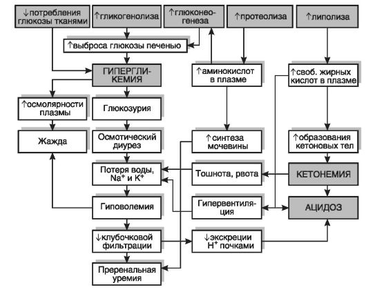 Патогенез диабетического кетоацидоза - student2.ru