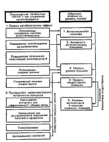 Печень, водный, электролитный баланс и кровообращение - student2.ru