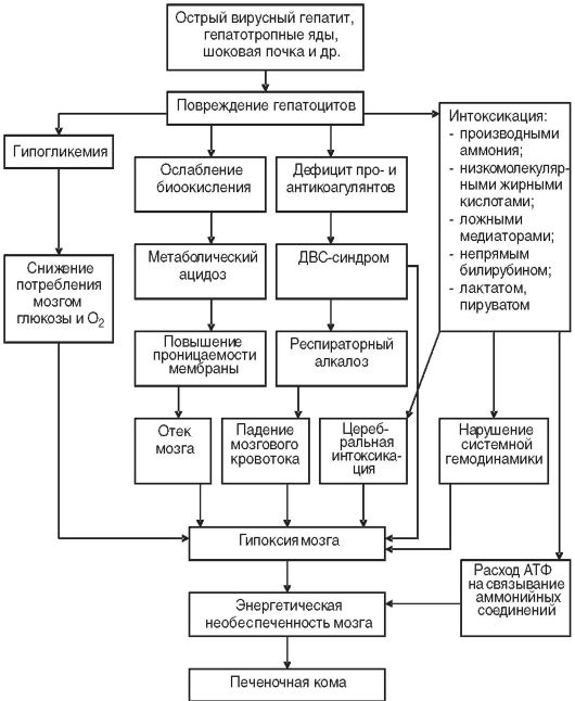 Печеночно-клеточная недостаточность - student2.ru