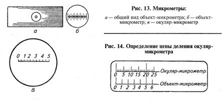 питательные среды и культивирование микроорганизмов - student2.ru