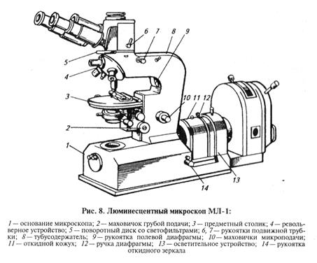 питательные среды и культивирование микроорганизмов - student2.ru