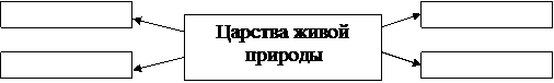 Чем отличаются живые существа от неживой природы? - student2.ru