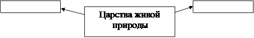 Чем отличаются живые существа от неживой природы? - student2.ru