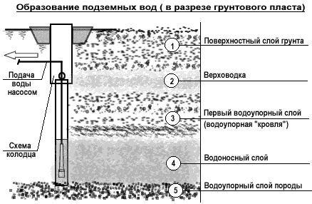 Поиск воды, используя природные признаки - student2.ru