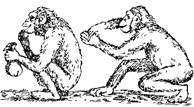 Понимают ли обезьяны смысл знаков и синтаксис языка-посредника? - student2.ru