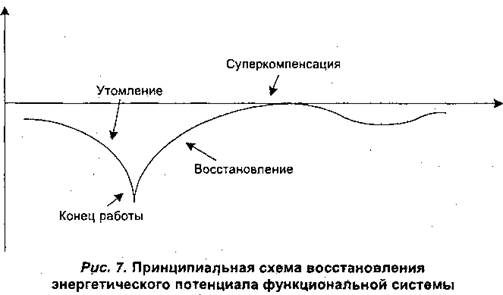 Понятие кислородного запроса и долга - student2.ru