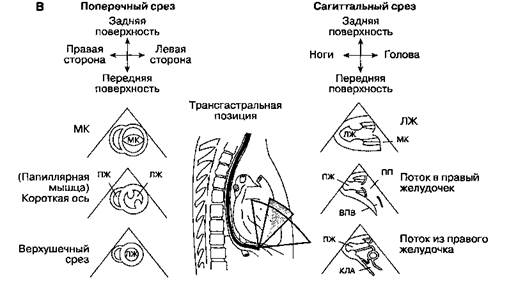 ПРЕИНДУКЦИОННЫЙ ПЕРИОД Премедикация - student2.ru