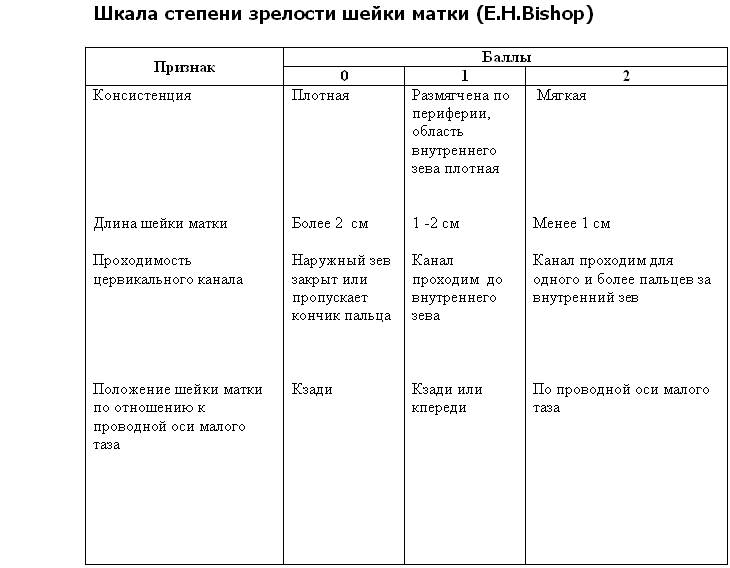 Причины наступления родов - student2.ru