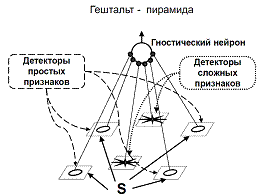 Принцип системности в работе мозга. «Локализационисты» и «эквипотенциалисты». - student2.ru