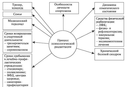 Модель личности спортсмена. Личность спортсмена. Особенности личности спортсмена. Формирование личности спортсмена. Структура личности спортсмена.