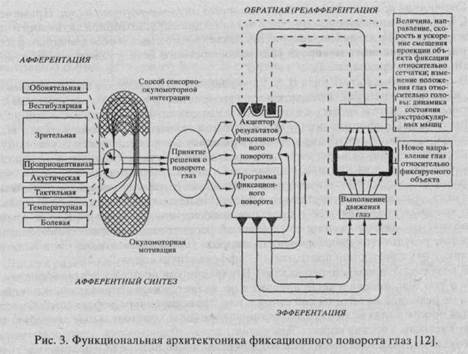 психология восприятия, профессиональной деятельности, способностей и индивидуальных различий - student2.ru