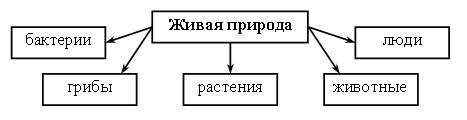 Р а з д е л I. Как устроен мир - student2.ru
