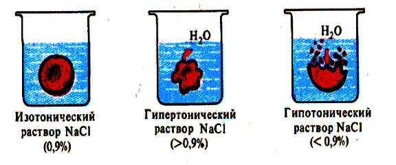 РАБОТА 3Определение скорости оседания эритроцитов - student2.ru