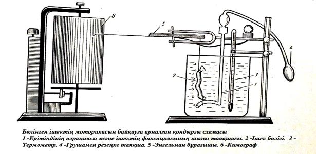 РАБОТА 5. Реакция на желчные кислоты - student2.ru