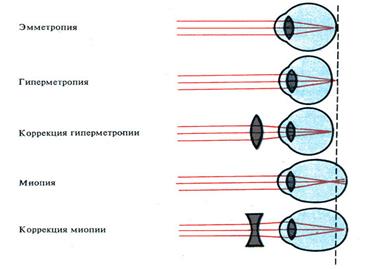 РАБОТА № 3 Определение слепого пятна. Опыт Мариотта - student2.ru