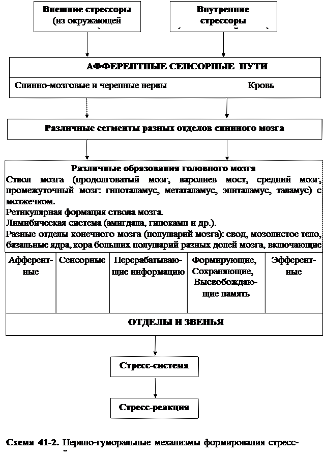 Развитие специфической адаптации - student2.ru