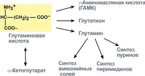 Реакции синтеза аммонийных солей - student2.ru