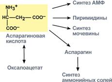 Реакции синтеза аммонийных солей - student2.ru